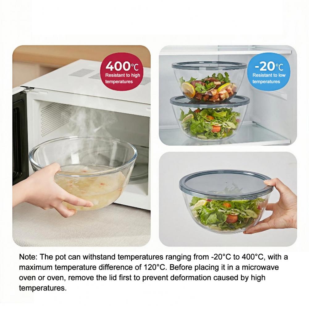 Ciotola per Feste con Coperchi - Meal Prep Oven Safe Containers recensione e prezzo